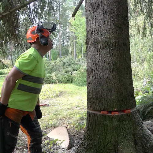 #finnishlumberjack