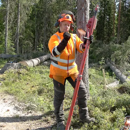 #finnishlumberjack
