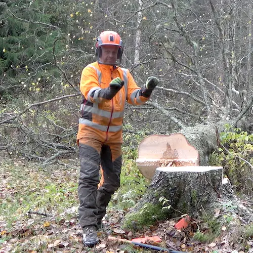 #finnishlumberjack