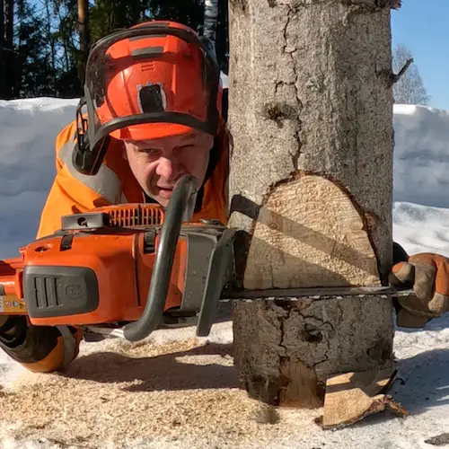 #finnishlumberjack